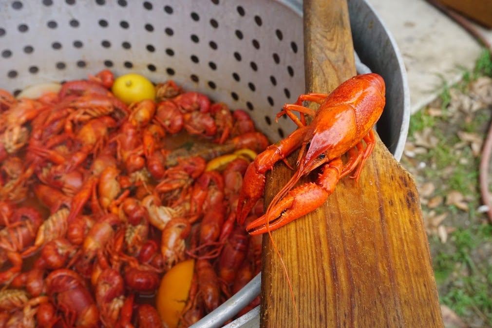 Crawfish Season Prices Drop Deanie's Seafood Restaurants and Market